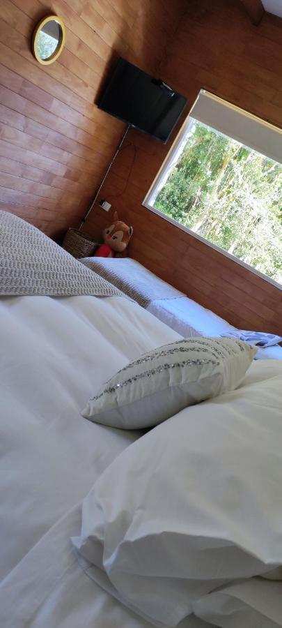 Acogedora Cabana En El Bosque, Acceso Vehiculos 4X4 Cochamo Exteriör bild
